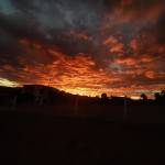 Cristian Parra Profile Picture