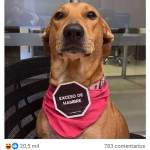 Manuel Pineda Profile Picture