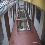 Nestor Martinez Profile Picture