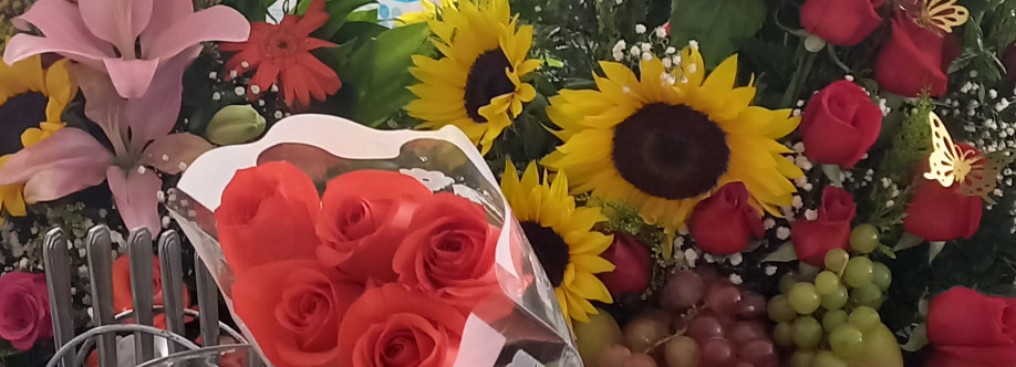 Paula Cruz Cover Image