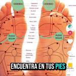 Martha Suarez Profile Picture