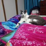 Deisy Gonzalez Profile Picture