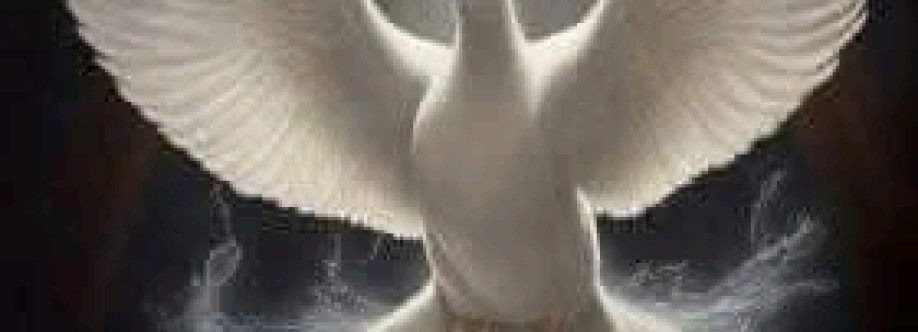 Adelso Villeda Cover Image