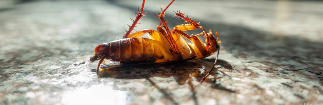 Century Pest Control Cover Image