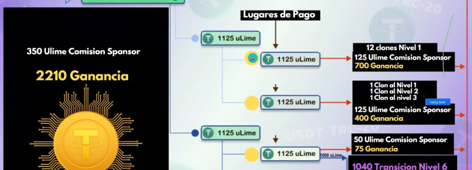 Lime Company Cover Image