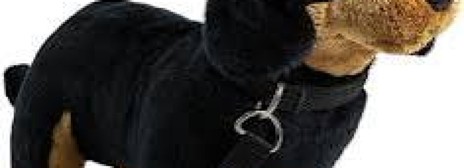 Entzucken Deschan Cover Image