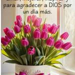 Elsi Fajardo Profile Picture