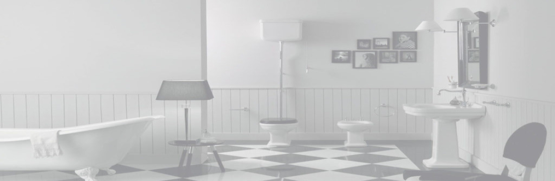 saniterica ca Cover Image