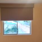 Juan Mueses Profile Picture