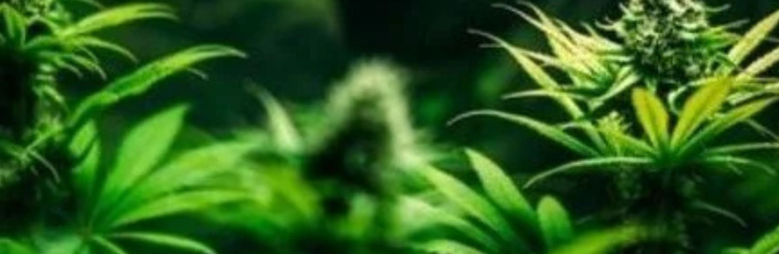 Pure Roots Botanicals Cover Image