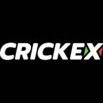 Crickex9 game Profile Picture