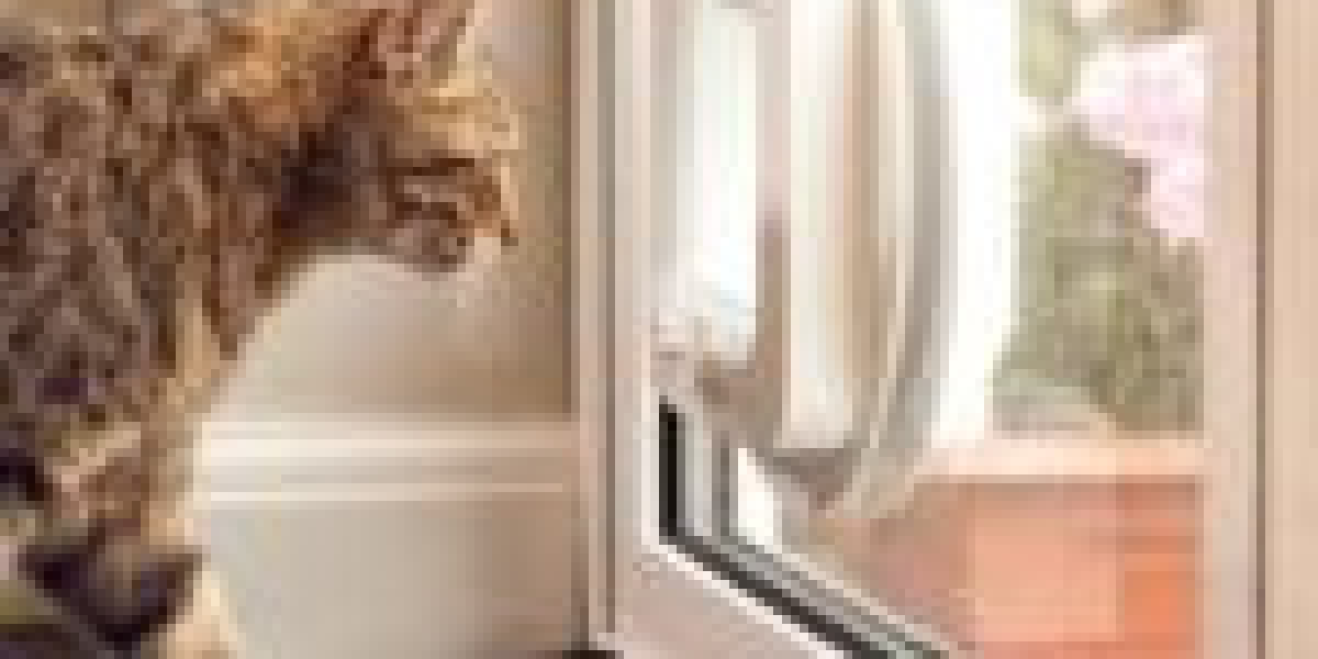 7 Things About Cat Access Door Installer You'll Kick Yourself For Not Knowing