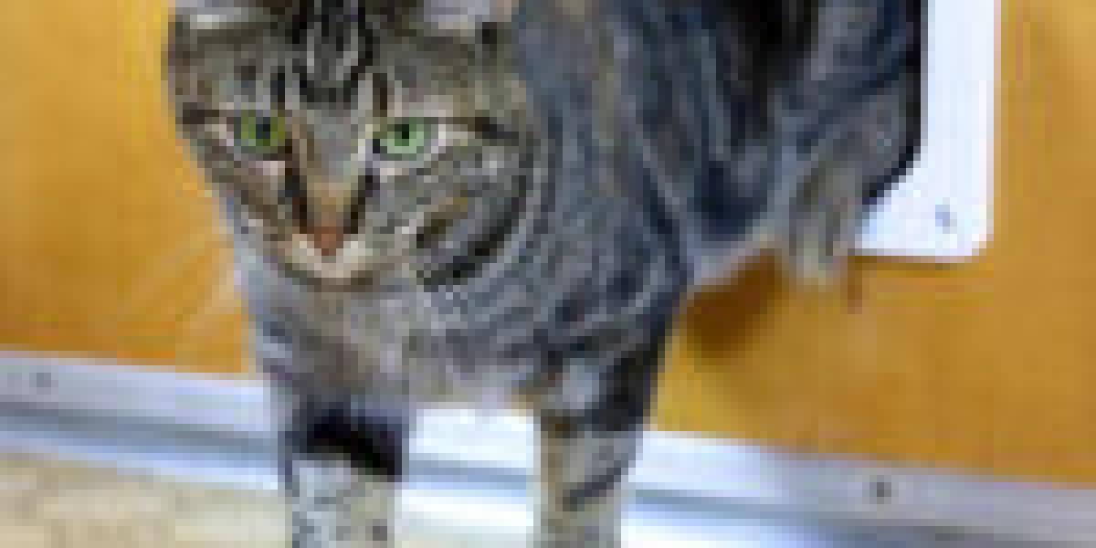 Trusted Cat Flap Installer It's Not As Expensive As You Think