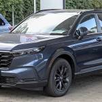 Alex Carry Profile Picture