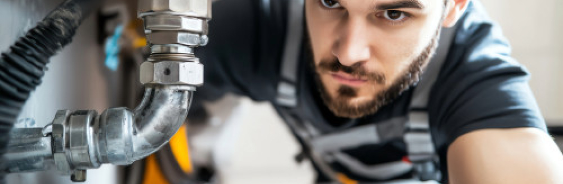 Spolbilarna Cover Image