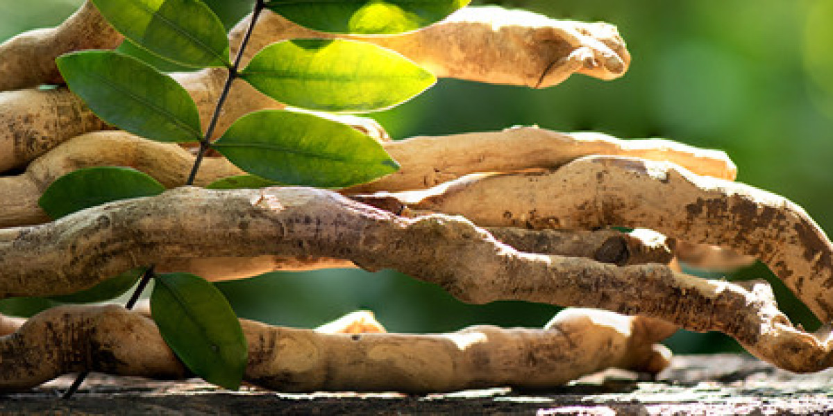 Tongkat Ali and Tribulus: Natural Boosters for Testosterone & Vitality