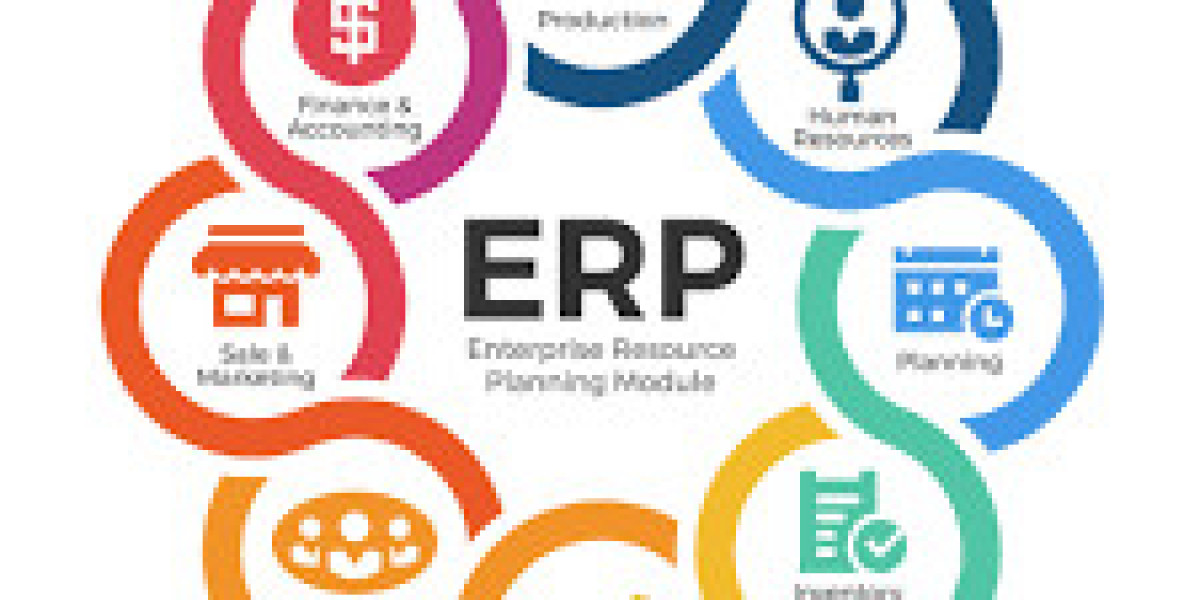 ERP Software Market Overview 2025-2035