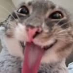 Gregory watson Profile Picture