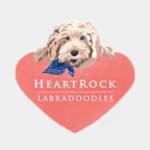 HeartRock Labradoodles Profile Picture