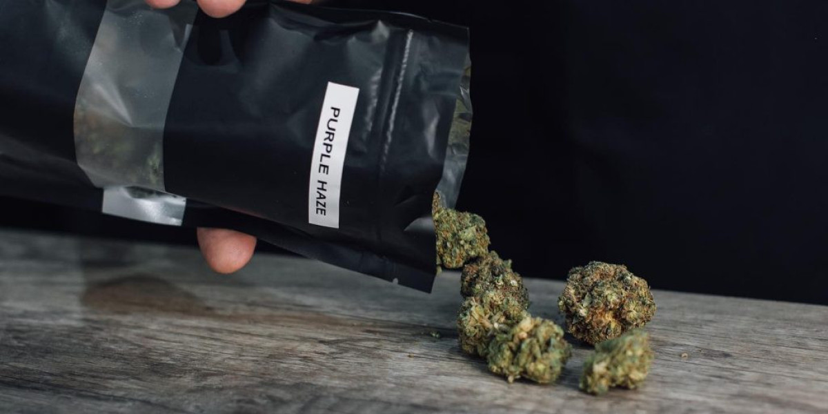 Pourquoi le CBD à Pau séduit de plus en plus d’adeptes du bien-être ?