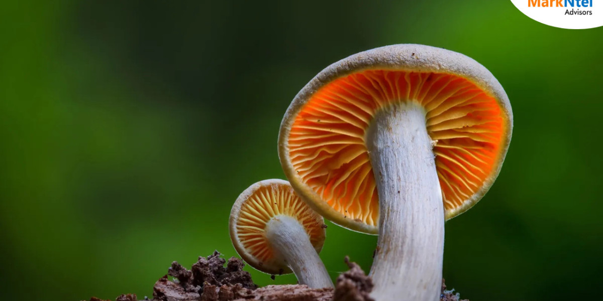 Top 9 Indonesian Mushroom Companies: Growth Projections and Data Analysis, 2030