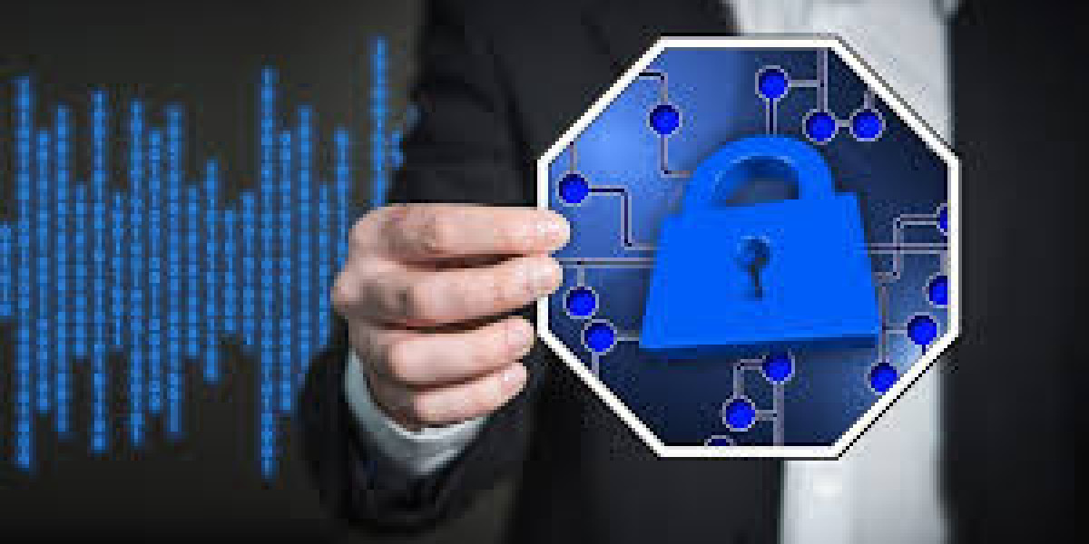 Privacy Management Software Market Size, Forecast, 2030