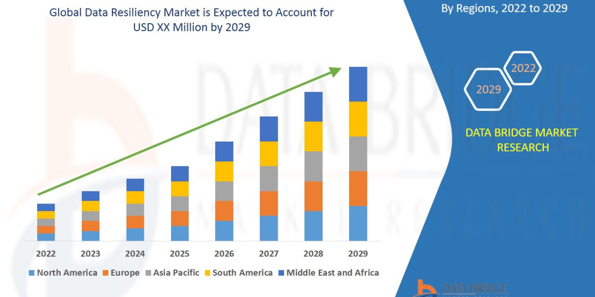 Data Resiliency Market Overview, Growth Analysis, Trends and Forecast By 2029