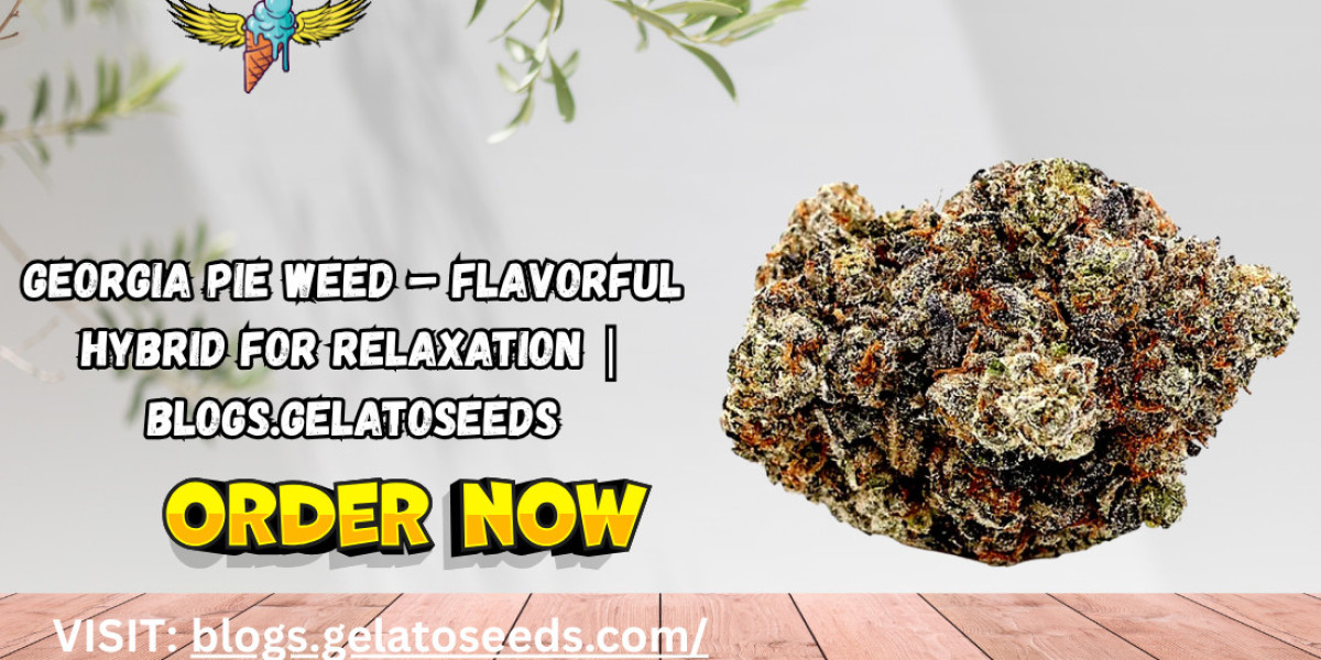 Georgia Pie Weed – Flavorful Hybrid for Relaxation | Blogs.Gelatoseeds
