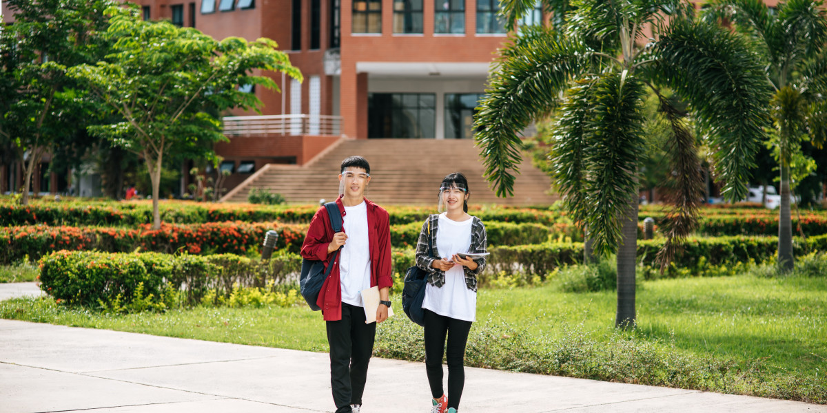 The Role of Ayurveda Colleges in Preserving Kerala’s Healing Heritage