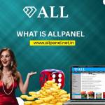 TahiR DeshmU Profile Picture