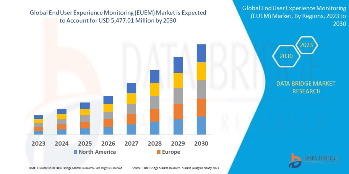 Comprehensive Study of the End User Experience Monitoring (EUEM) Market: Trends, Forecast, and Industry Share
