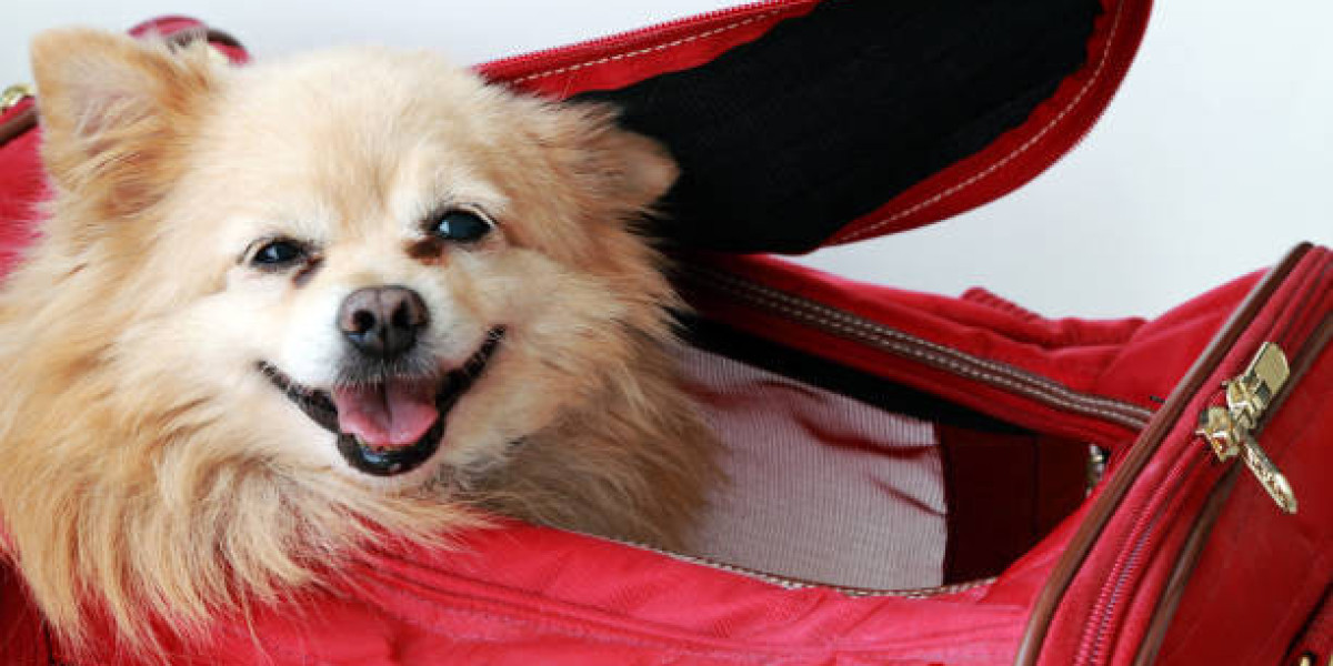 Stylish and Safe Travel with Your Small Dog in Bag