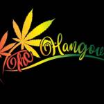 THC Hangover Profile Picture