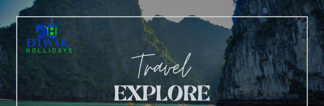 Dawik Hollidays Cover Image