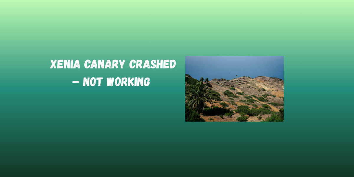 Xenia Canary Crashed – Not Working
