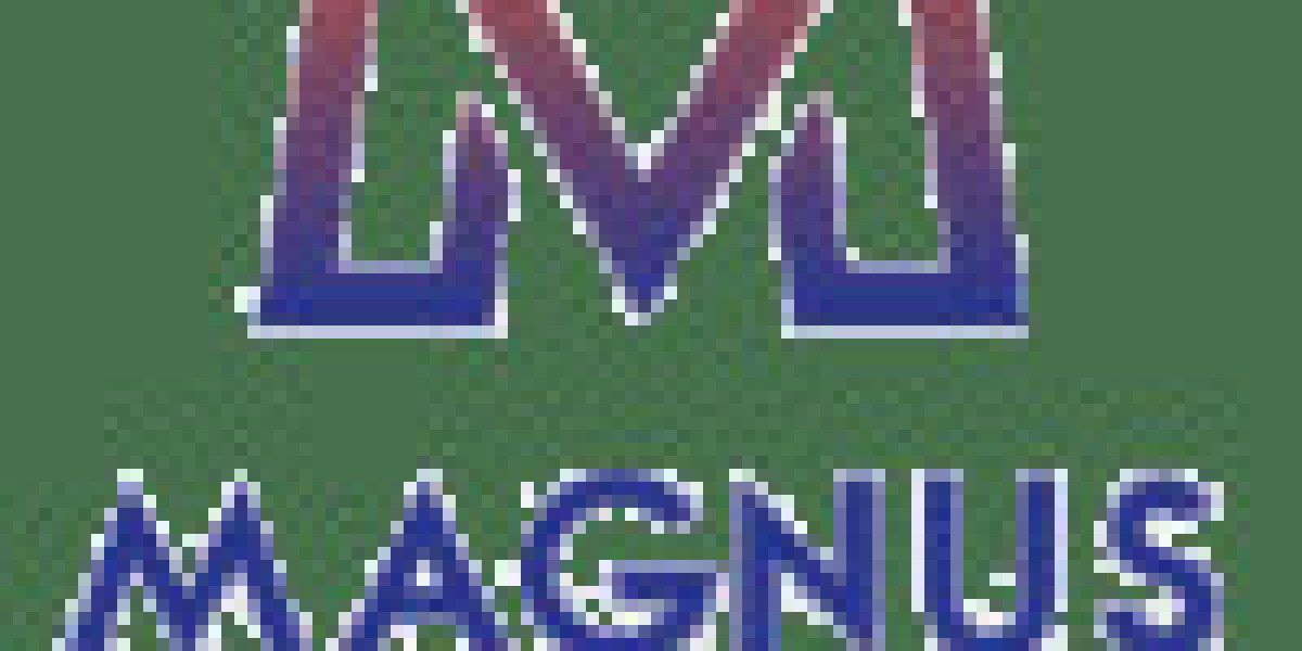 Top Ready Mix Plaster Manufacturers in India – Why Magnus Ventures Leads the Way