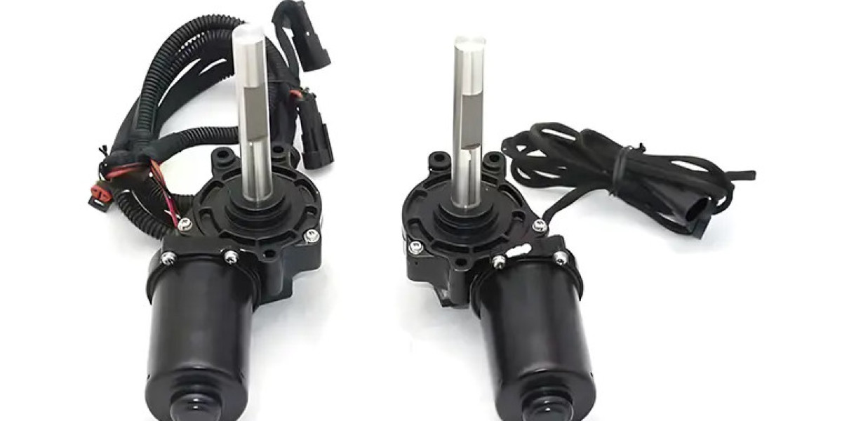 Pedal Motors: A Balance Between Effort and Assistance