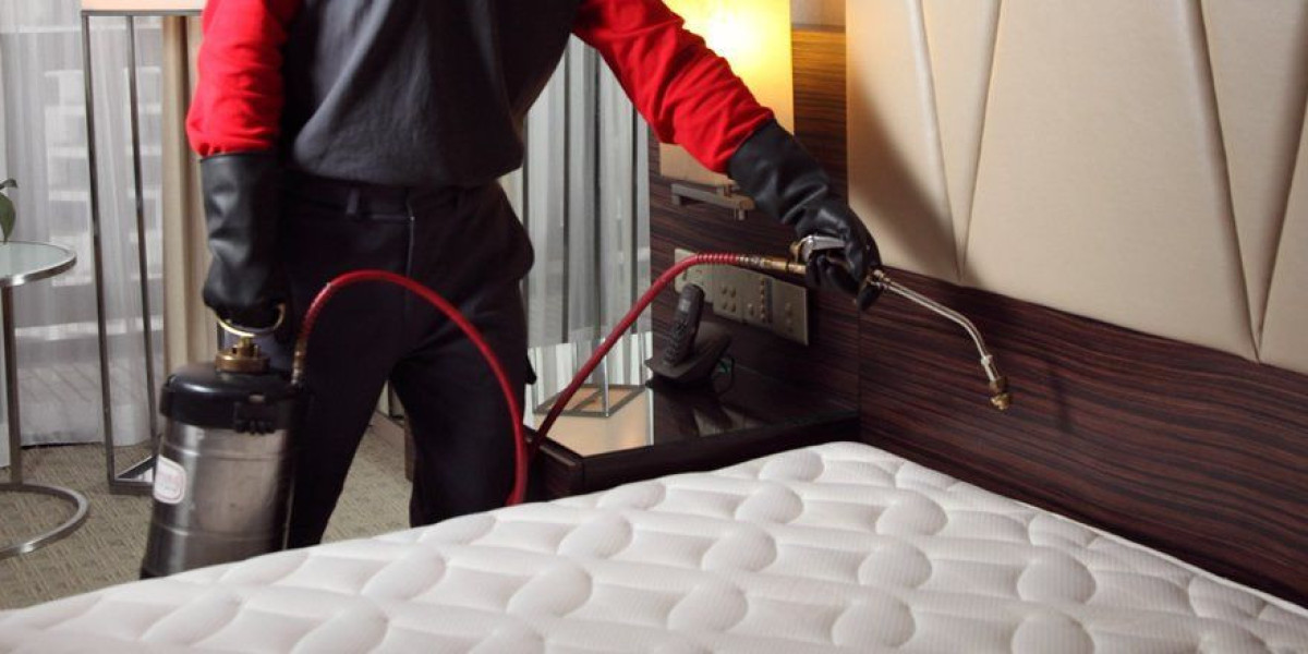 Finding Relief with a Trusted Bed Bug Exterminator Queens