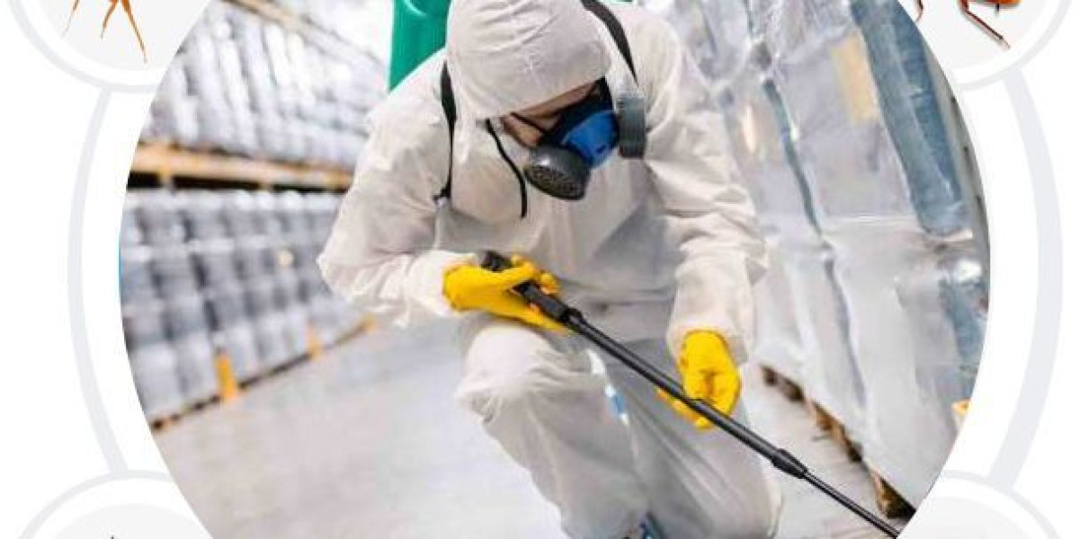 The Real Truth About Roaches Services