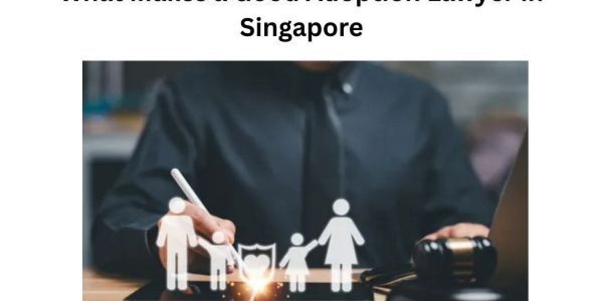 What Makes a Good Adoption Lawyer in Singapore