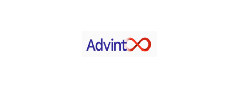 Advint Incorporated Cover Image