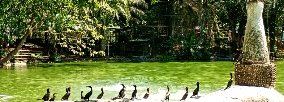 Wally Castell Cover Image