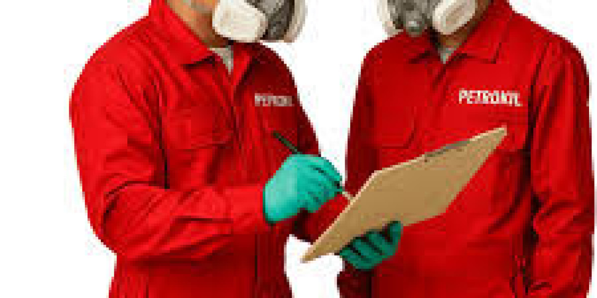 Mengungkap Bahaya Rayap: Saatnya Gunakan Jasa Anti Rayap untuk Perlindungan Maksimal