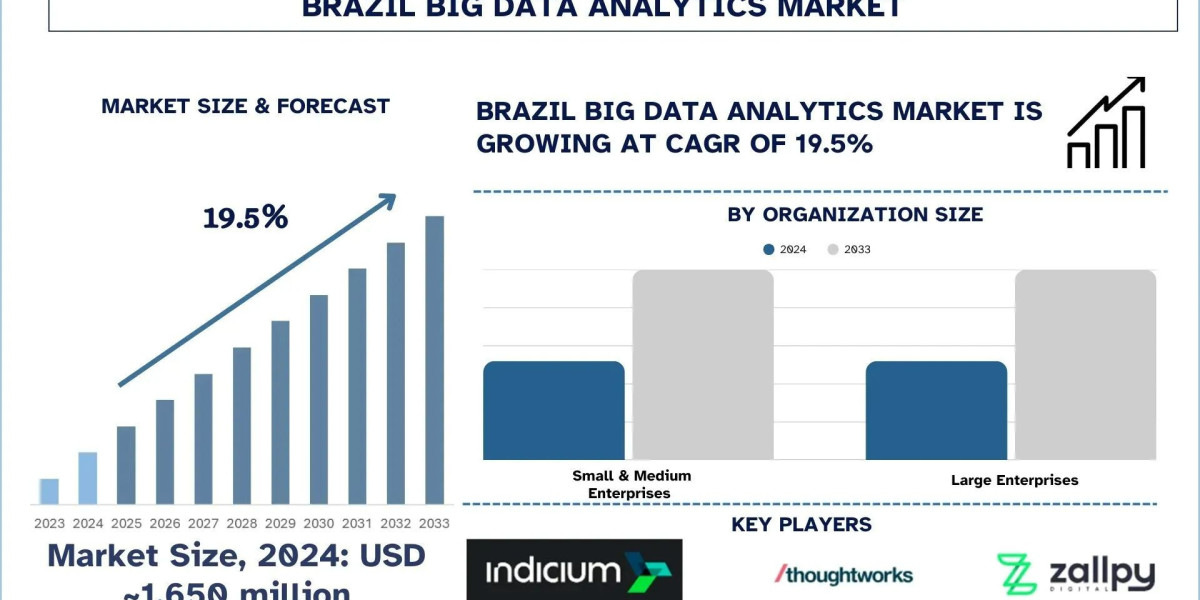 Brazil Big Data Analytics Market Analysis by Share, Trends & Forecast Report, 2033 | UnivDatos