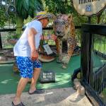 Wally Castell profile picture