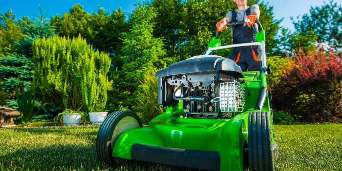 How Professional Lawn Care Services in Yonkers NY Can Transform Your Yard
