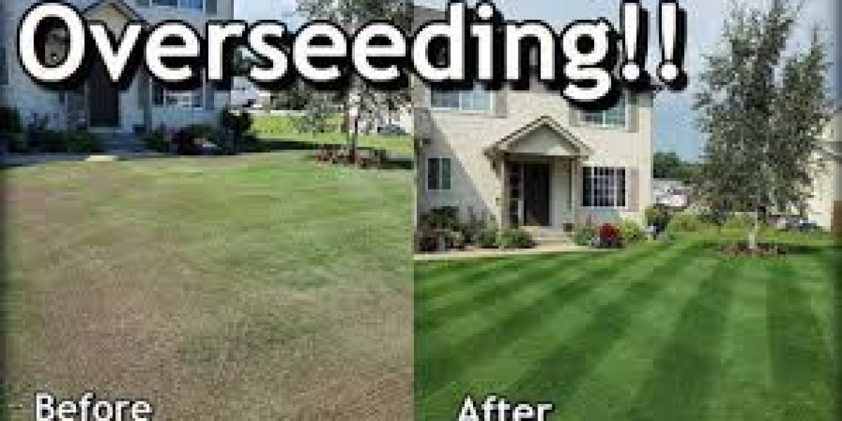 Overseeding Lawns in Spring: A Complete Guide to a Greener, Healthier Yard
