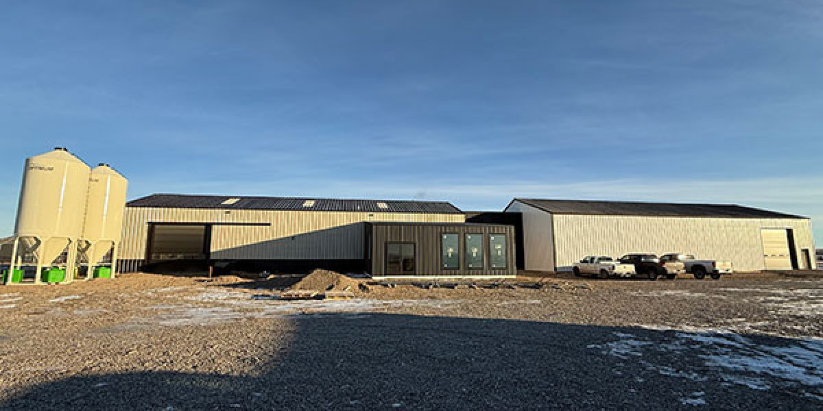 Advanced Seed Sorting in Montana Using Precision Equipment for Cleaner and Healthier Crops