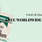 smithsir555 Profile Picture