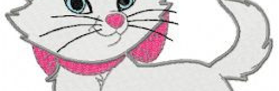 Johny King Cover Image